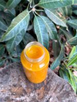 سس انبه ترش - Image 4