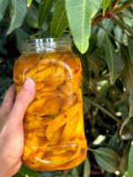 میکس انبه و پرزردالو - Image 3