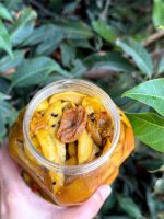 میکس انبه و پرزردالو - Image 4