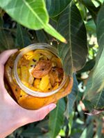 میکس انبه و پرزردالو - Image 2