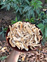 چغاله انبه - Image 2