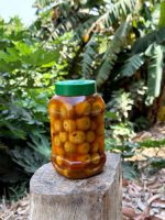 ترشی سپستان