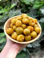 ترشی سپستان - Image 2