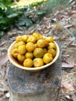 ترشی سپستان - Image 3